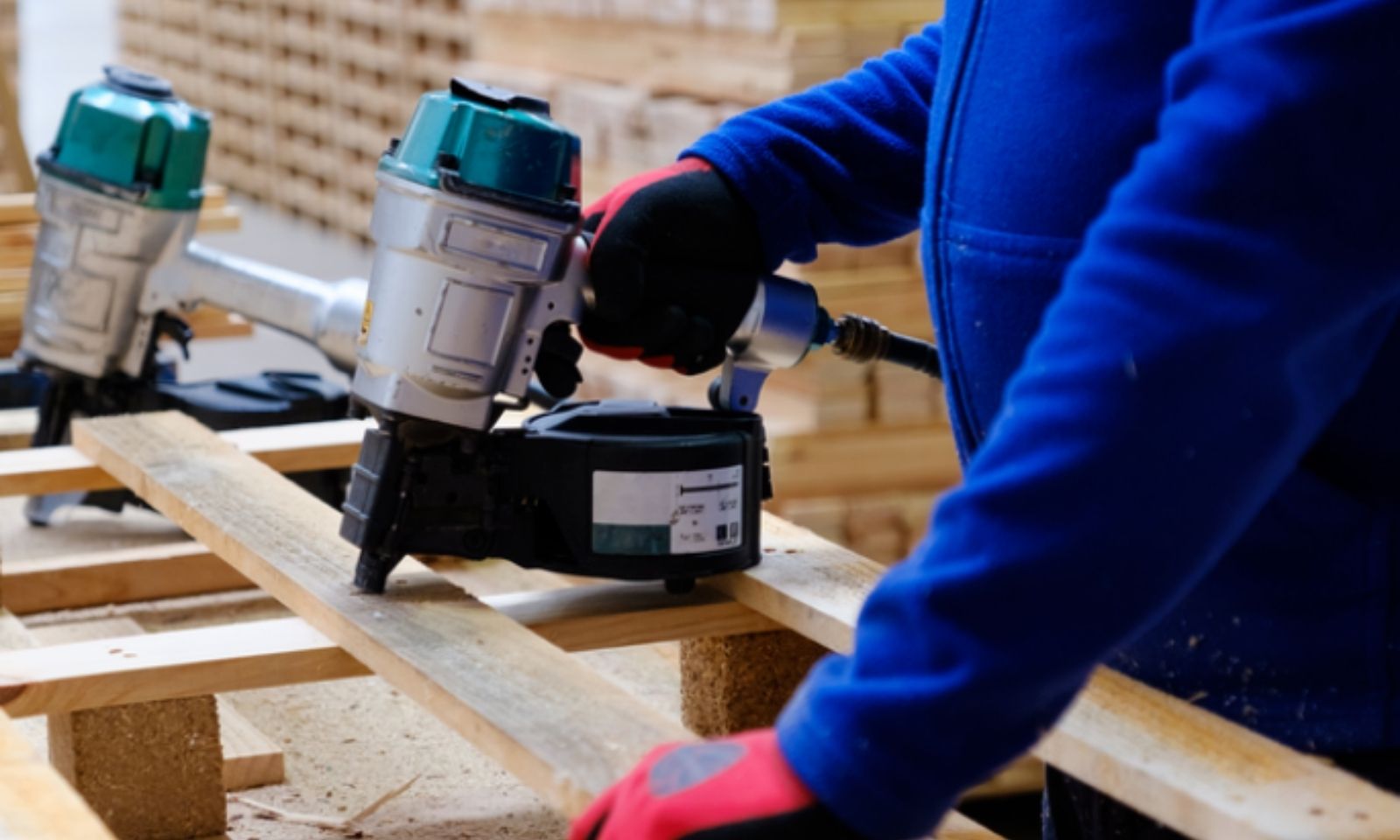 Aranea News  Insights 19).jpg