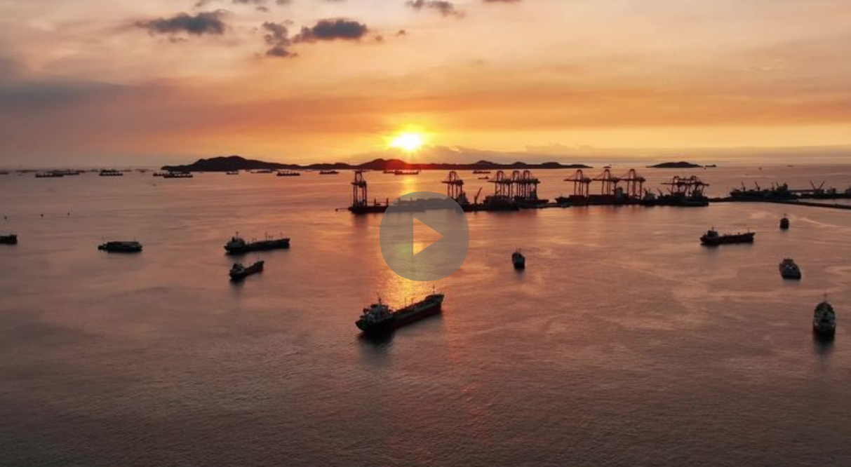 Video fallback billede